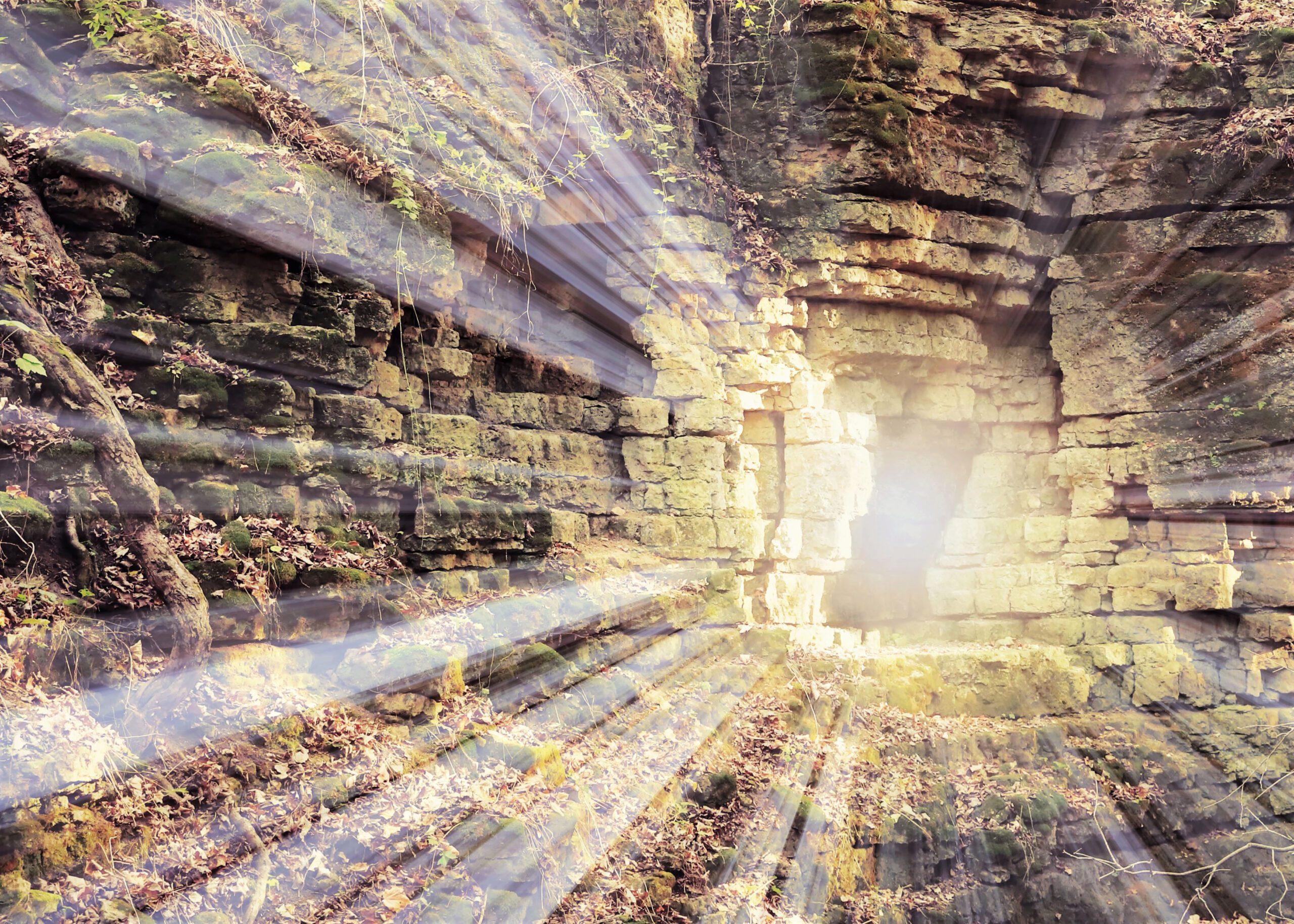 The Catholic Community of St. John and Blessed Sacrament Davison, MI